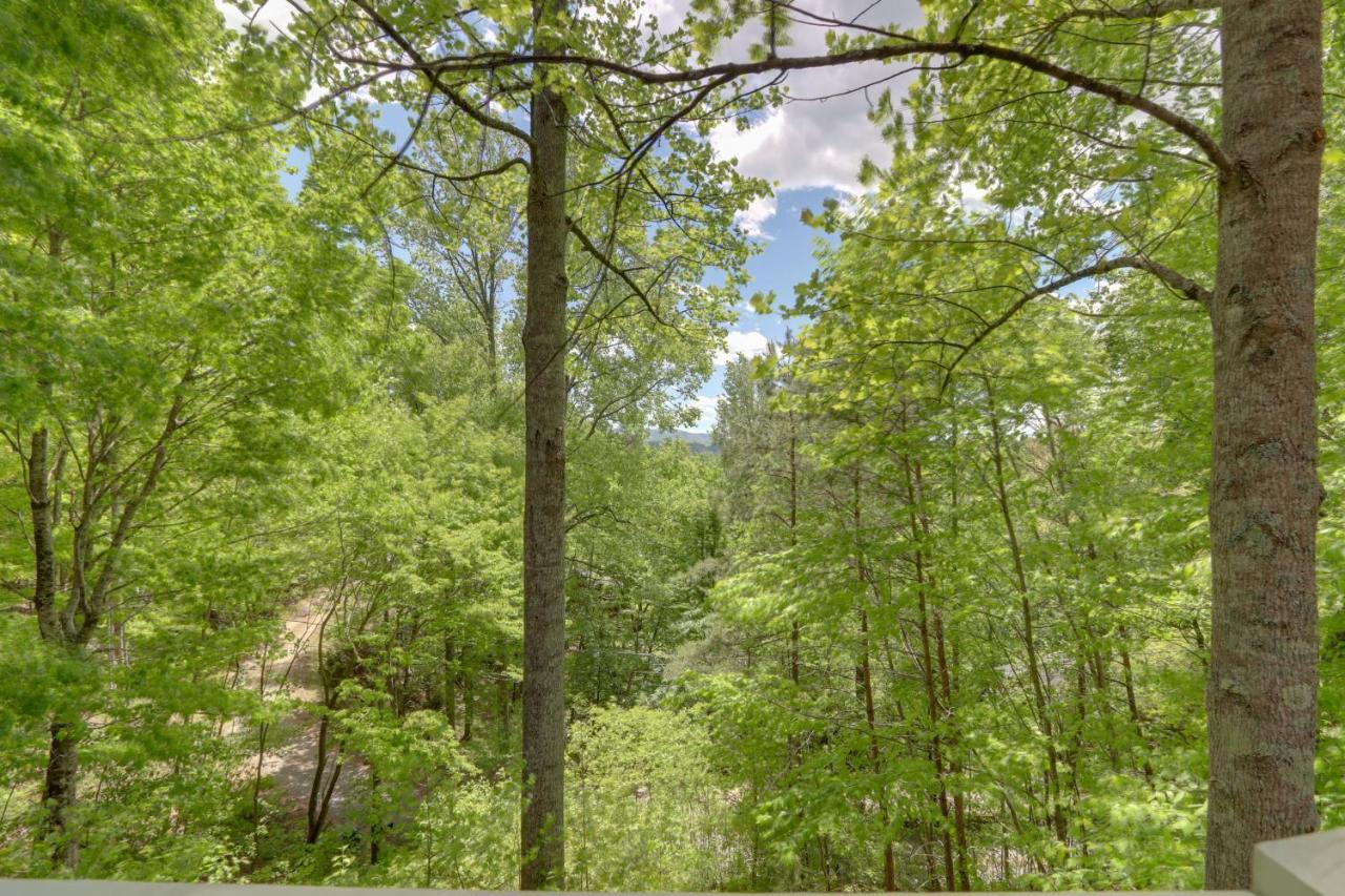 Villa Blue Ridge Getaway With Hot Tub And Seasonal View! Exterior foto
